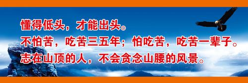 煤气公司抄爱赢体育表一定要开门吗(上门抄燃气表要开门吗)